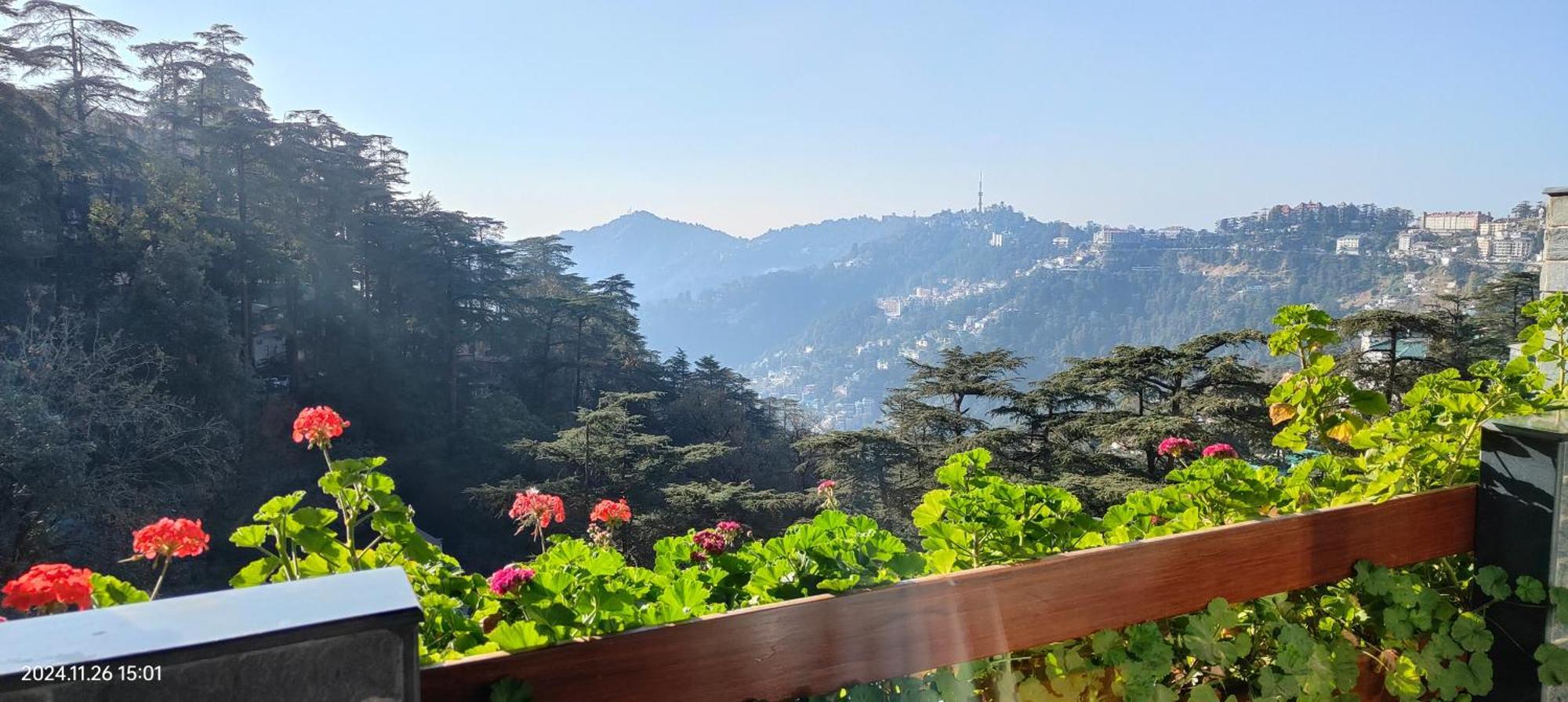 Marina- Shimla First Designer Boutique Hotel Exteriör bild